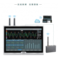TP1100 无线数据记录仪